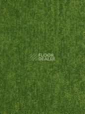 Ковролин Haima Coral 30 фото 1 | FLOORDEALER